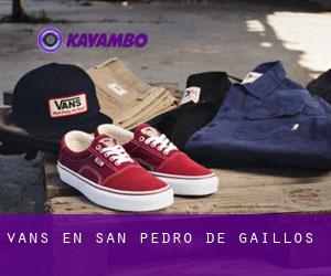 Vans en San Pedro de Gaíllos