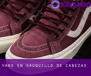 Vans en Sauquillo de Cabezas