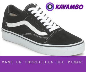 Vans en Torrecilla del Pinar