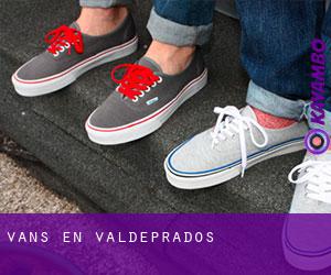 Vans en Valdeprados