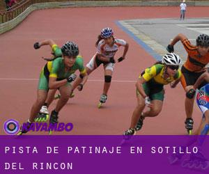 Pista de Patinaje en Sotillo del Rincón