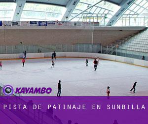 Pista de Patinaje en Sunbilla