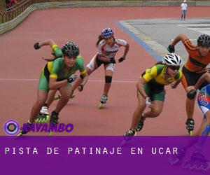 Pista de Patinaje en Ucar