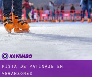 Pista de Patinaje en Veganzones