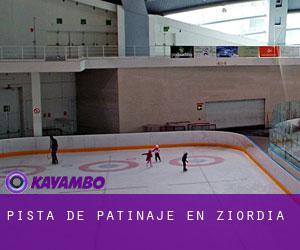 Pista de Patinaje en Ziordia