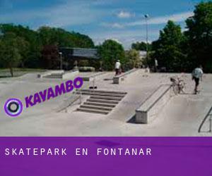 Skatepark en Fontanar