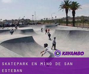 Skatepark en Miño de San Esteban