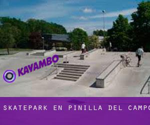 Skatepark en Pinilla del Campo