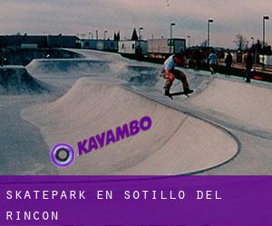 Skatepark en Sotillo del Rincón