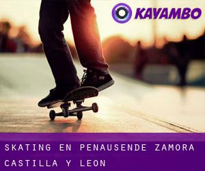 skating en Peñausende (Zamora, Castilla y León)