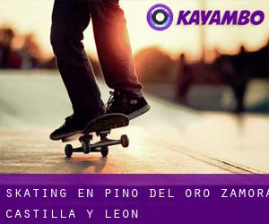 skating en Pino del Oro (Zamora, Castilla y León)