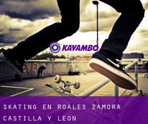 skating en Roales (Zamora, Castilla y León)