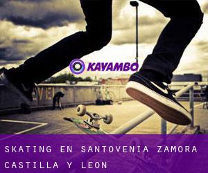 skating en Santovenia (Zamora, Castilla y León)